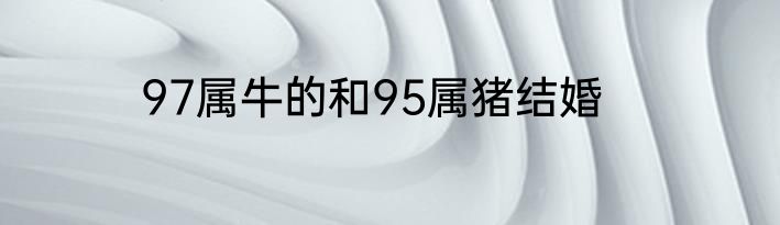 97属牛的和95属猪结婚