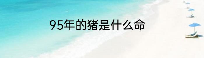 95年的猪是什么命