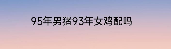 95年男猪93年女鸡配吗