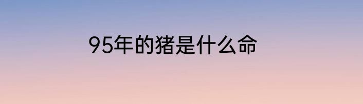 95年的猪是什么命
