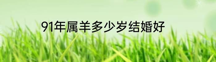 91年属羊多少岁结婚好