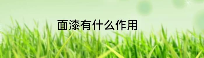 面漆有什么作用