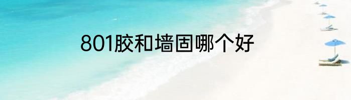 801胶和墙固哪个好