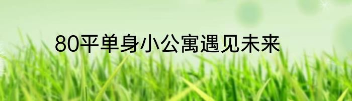 80平单身小公寓遇见未来