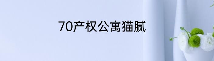 70产权公寓猫腻