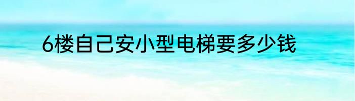 6楼自己安小型电梯要多少钱
