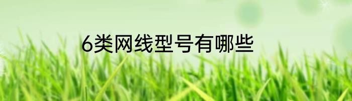 6类网线型号有哪些