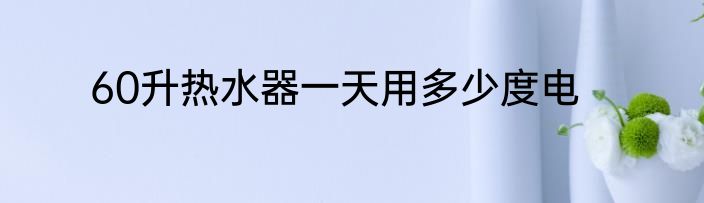 60升热水器一天用多少度电