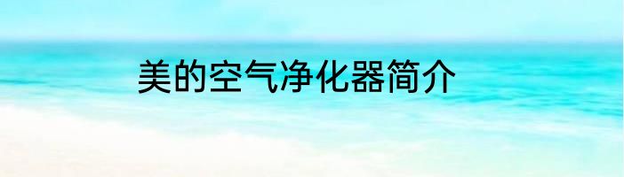 美的空气净化器简介