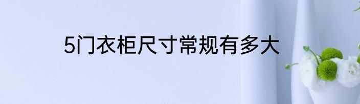 5门衣柜尺寸常规有多大