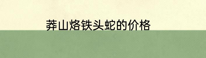 莽山烙铁头蛇的价格