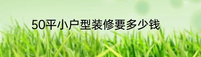 50平小户型装修要多少钱