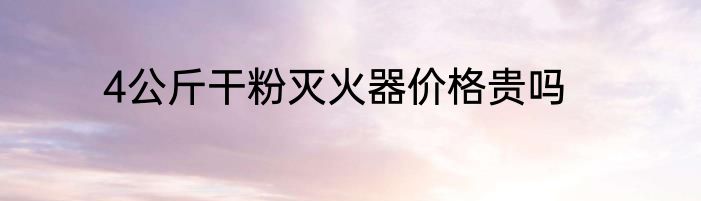 4公斤干粉灭火器价格贵吗