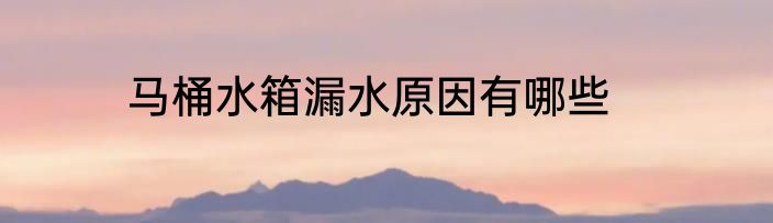 马桶水箱漏水原因有哪些