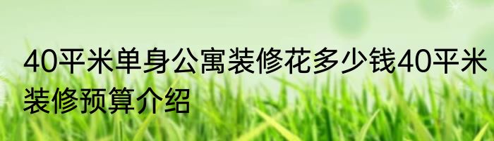 40平米单身公寓装修花多少钱40平米装修预算介绍