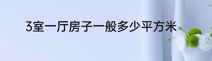3室一厅房子一般多少平方米