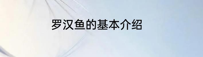 罗汉鱼的基本介绍