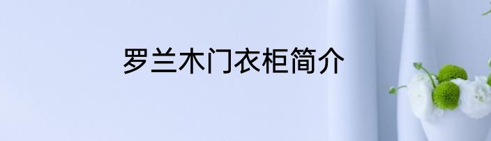 罗兰木门衣柜简介