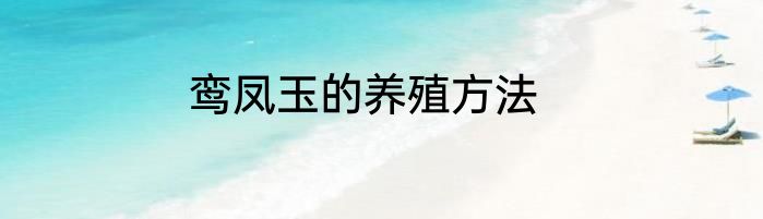 鸾凤玉的养殖方法