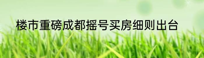 楼市重磅成都摇号买房细则出台