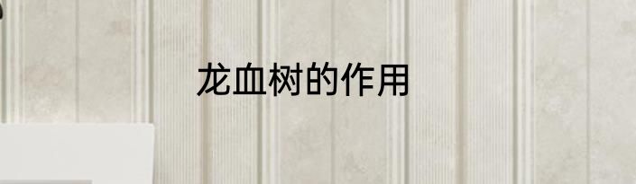龙血树的作用