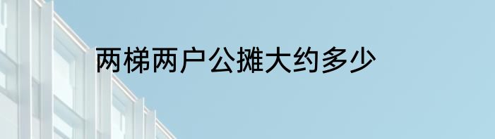 两梯两户公摊大约多少