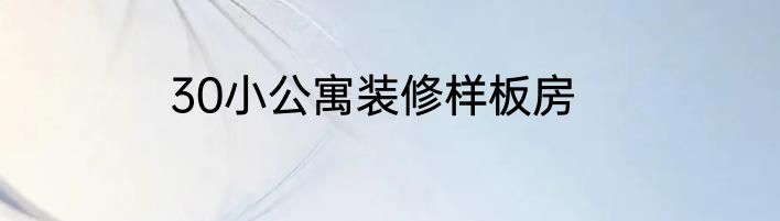 30小公寓装修样板房