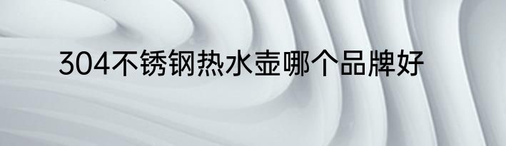 304不锈钢热水壶哪个品牌好