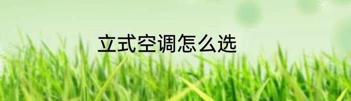 立式空调怎么选