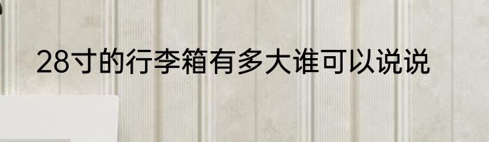 28寸的行李箱有多大谁可以说说