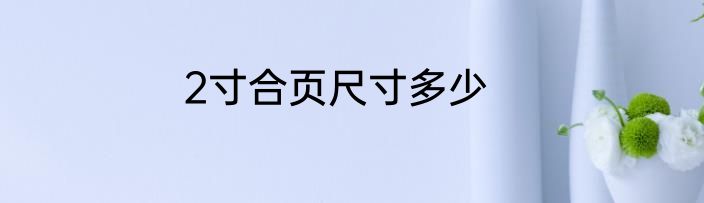 2寸合页尺寸多少