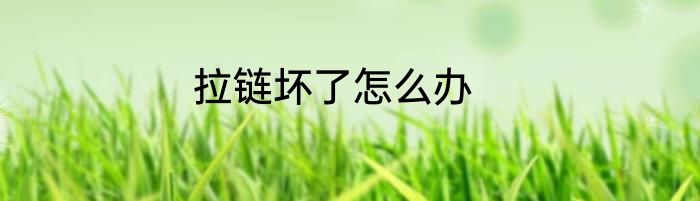 拉链坏了怎么办