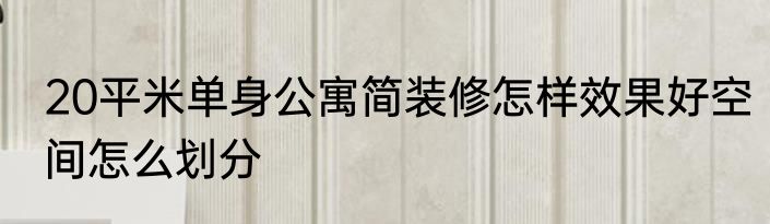 20平米单身公寓简装修怎样效果好空间怎么划分