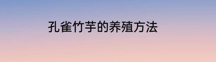 孔雀竹芋的养殖方法