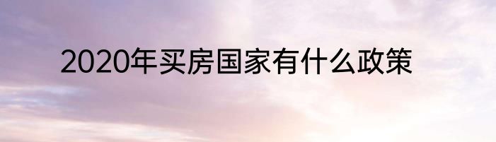 2020年买房国家有什么政策