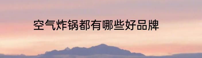 空气炸锅都有哪些好品牌