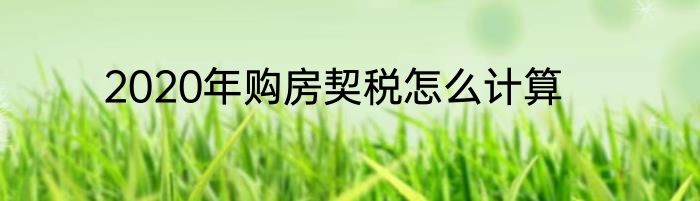 2020年购房契税怎么计算