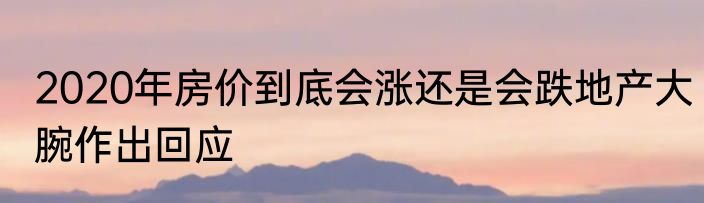 2020年房价到底会涨还是会跌地产大腕作出回应