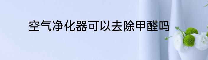 空气净化器可以去除甲醛吗