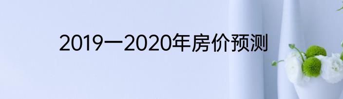 2019一2020年房价预测