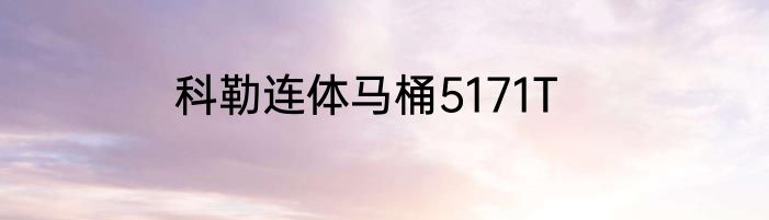 科勒连体马桶5171T