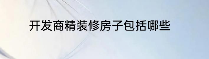开发商精装修房子包括哪些