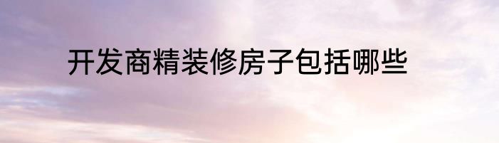 开发商精装修房子包括哪些