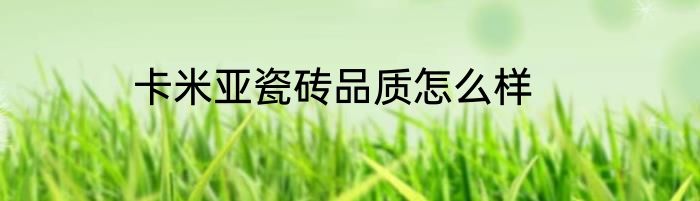 卡米亚瓷砖品质怎么样