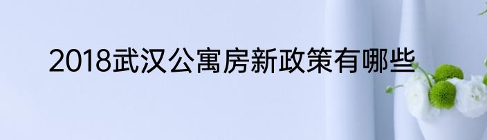 2018武汉公寓房新政策有哪些