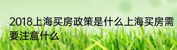 2018上海买房政策是什么上海买房需要注意什么