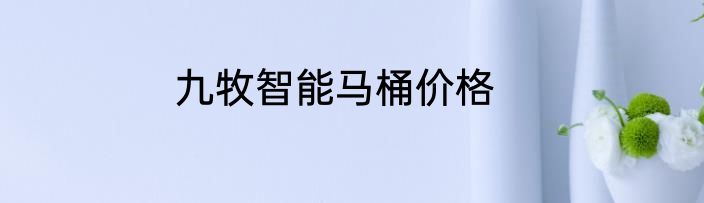 九牧智能马桶价格