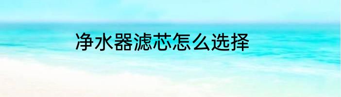 净水器滤芯怎么选择
