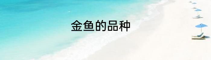 金鱼的品种