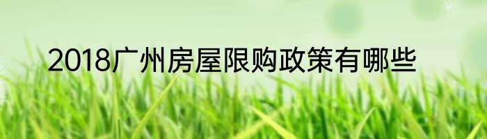 2018广州房屋限购政策有哪些